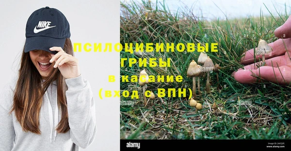 трава Елабуга