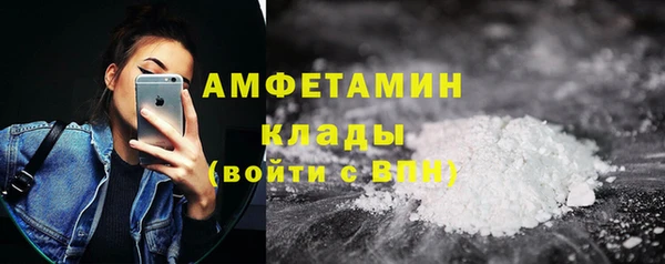 молекула духа Ельня