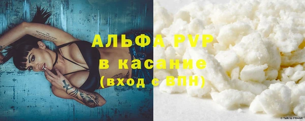 прущие грибы Елизово