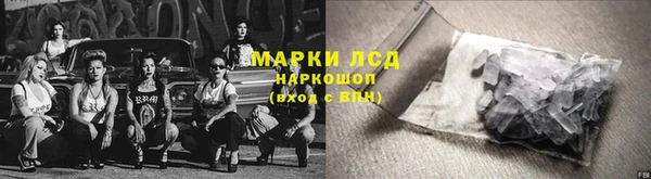прущие грибы Елизово