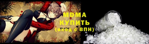 прущие грибы Елизово