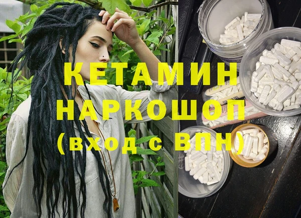 прущие грибы Елизово