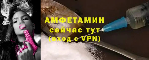 прущие грибы Елизово