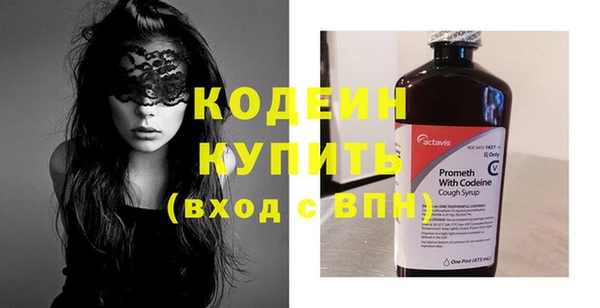 прущие грибы Елизово