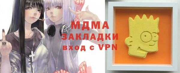 прущие грибы Елизово