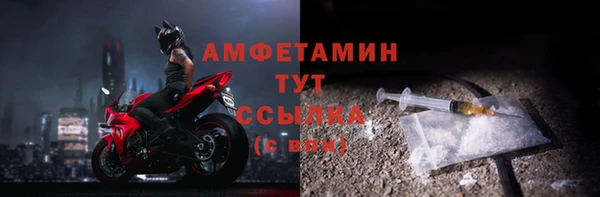 молекула духа Ельня