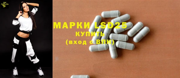 молекула духа Ельня