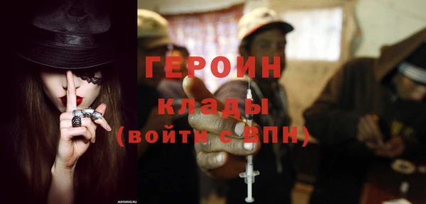 прущие грибы Елизово