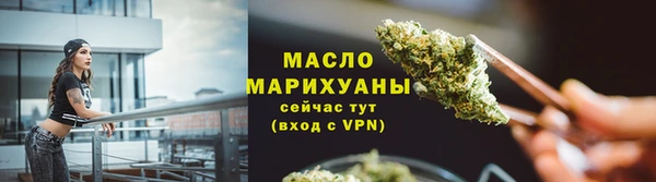 молекула духа Ельня