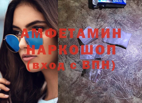 молекула духа Ельня