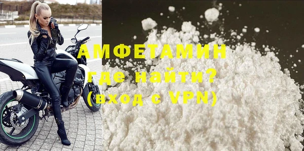 прущие грибы Елизово