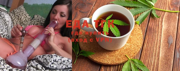 молекула духа Ельня