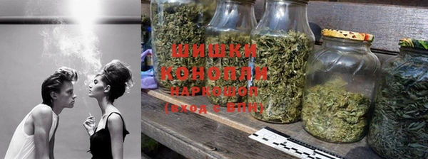 трава Елабуга