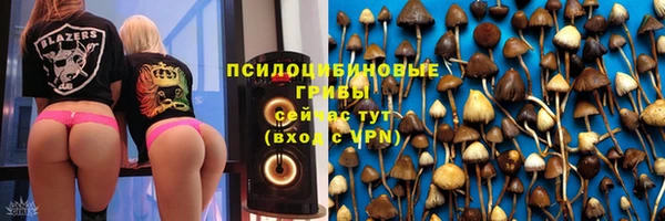 трава Елабуга