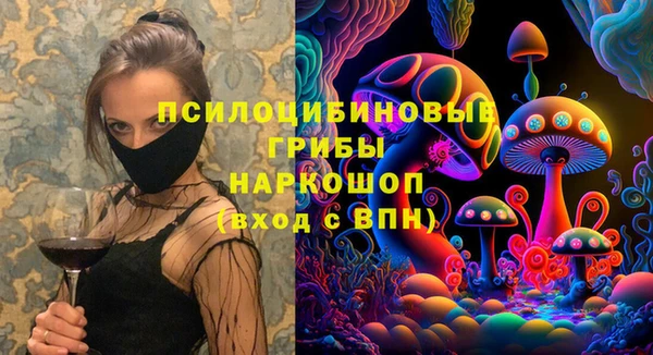 прущие грибы Елизово