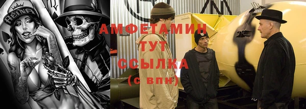 молекула духа Ельня