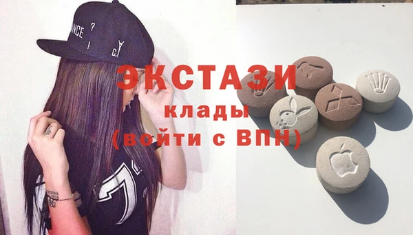 молекула духа Ельня