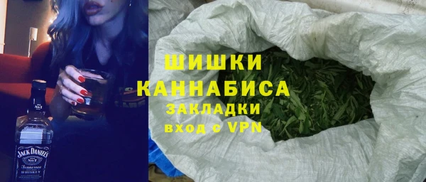 прущие грибы Елизово
