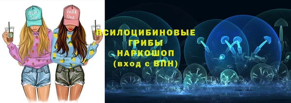 молекула духа Ельня