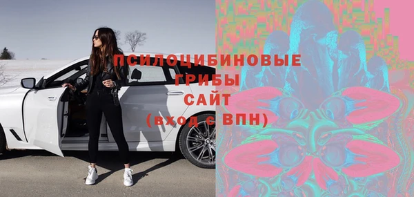 молекула духа Ельня